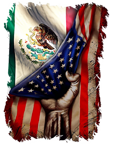 DTF Screen Print Image - Mexican/American Flag
